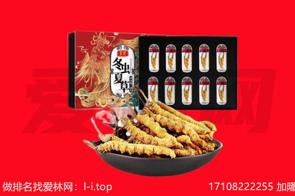 白朗县回收虫草.jpg
